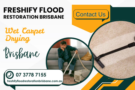 Brisbane, Business, Wet Carpet Drying Brisbane