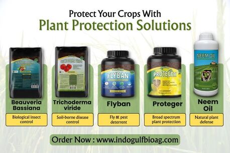 New York, Farm & Garden, USD 50,  Whitefly Trouble In The Field? Order Plant Protect Solutions Now