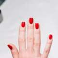 Book Professional Nail Clippers Services At Brick House Salon Today