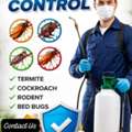 SKY PAKISTANI PEST CONTROL WITH💙BED BUG'S💙COCKROACH'S KILLING BEST PRICE&asymp;0507885508🏕 .6