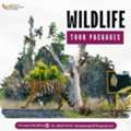 Discover India's Wild Wonders With Unforgettable Safari Adventures