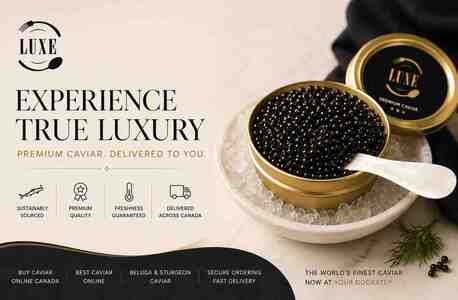 Toronto, Food, CAD 1,  Buy Beluga Caviar &ndash; Premium Quality Available