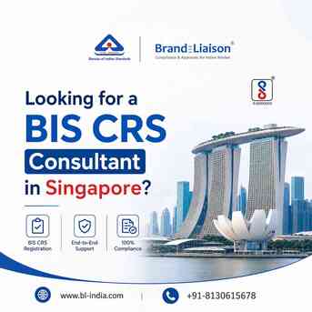 Singapore, Legal, Looking For A BIS CRS Consultant In Singapore?