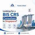 Looking For A BIS CRS Consultant In Singapore?