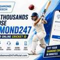 Why Thousands Choose Diamond247 For Their Online Cricket ID | Trusted Diamond Cricket ID