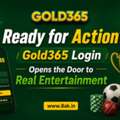 Ready For Action? Gold365 Login Opens The Door To Real Entertainment