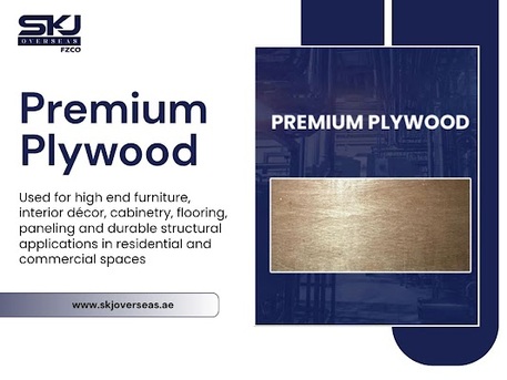 Dubai, Business, Premium Plywood For Mixed Use Development Projects