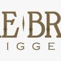 Rare Breed Trigger