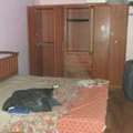 BHD 30,  Cupboard And Bed With Mattress For Sale