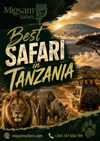 Dar es Salaam, Travel, Best Safari In Tanzania &ndash; Discover Top National Parks