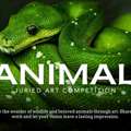 TERAVARNA Animal Art Exhibition | Submit Your Work