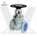 Piston Valve | Weld-Arc Engineers