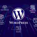 WordPress Web Development Company | Promatics Technologies