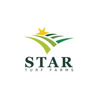 New York, Business, High Quality Turf Provider For Reliable Lawn Solutions