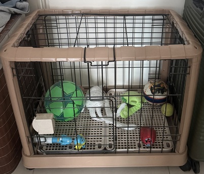 Manama, Pet Supplies, BHD 10,  Dog Cage