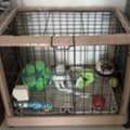 BHD 10,  Dog Cage