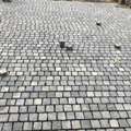 INR 13,  Kadappa Stone Machine Cut 9810953797