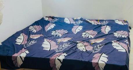 Olaya, Appliances, SAR 99,  Urgent Sale: Siesta Brand Comfy Type Bonnell Support Spring Mattress (Medicated)