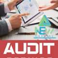 Part-Time Auditor Expert