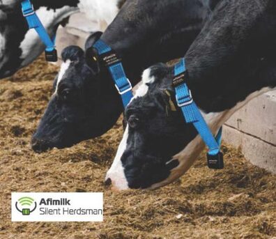 Noida, Business, Automatic Cow Identification Systems In India