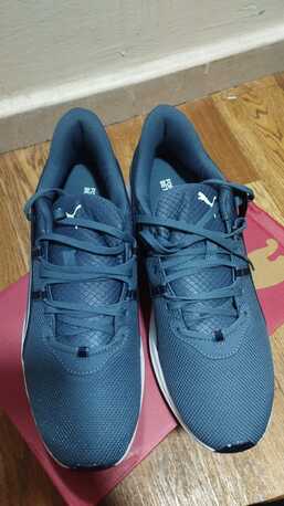 Dammam, Clothing & Accessories, SAR 130,  Original Brand New Puma Shoes For Sale !