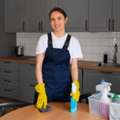 Trusted House Cleaners Seattle &ndash; The Cleanup Guys