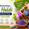 This Mysterious Kali Haldi May Transform Your Health Naturally