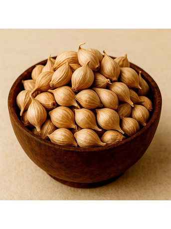 New Delhi, Business, Indian Agricultural Products Suppliers