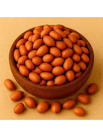 New Delhi, Business, Indian Agricultural Products Suppliers