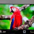 SAR 1400,  Sony Bravia Smart 4K TV, 55 Inch
