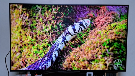 Al Malaz, Appliances, SAR 1400,  Sony Bravia Smart 4K TV, 55 Inch