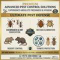 ✨ PROFESSIONAL PEST CONTROL | Cockroach, Bed Bug & Rodent Elimination Awali