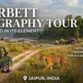 Best Seasons And Zones For Your Jim Corbett Photography Tour