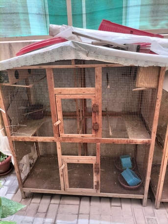 Tubli, Pet Supplies, BHD 20,  2 Bird Cages