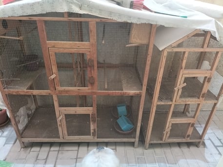 Tubli, Pet Supplies, BHD 20,  2 Bird Cages