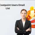 Deltek Costpoint Users Email List For B2B Growth