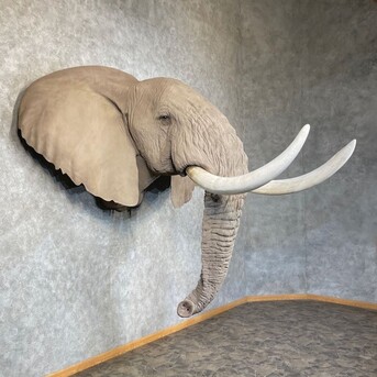 New York, Furniture, USD 14500,  African Elephant Replica Taxidermy Shoulder Mount For Sale .