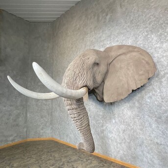 New York, Furniture, USD 14500,  African Elephant Replica Taxidermy Shoulder Mount For Sale .