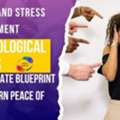 What Is Stress? / Psychological Stress &ndash; Decoding The Mental Weight Of Modern Life