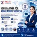 Looking For ISO Certification Consultants In India For End-to-End Certification Support?