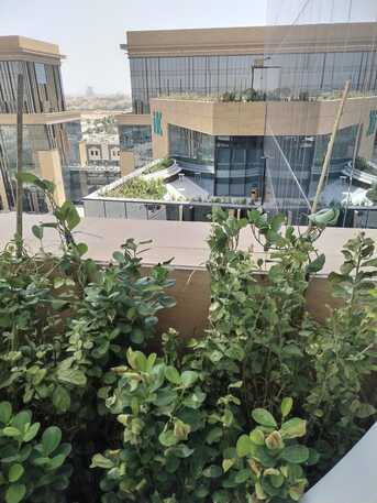 Riyadh, Farm/Garden, 🌴 Riyadh Garden Experts | Gardening, Landscaping & Maintenance Services |  0553140446