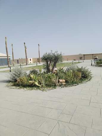 Riyadh, Farm/Garden, 🌴 Riyadh Garden Experts | Gardening, Landscaping & Maintenance Services |  0553140446