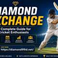Diamond Exchange: A Modern Hub For Cricket Communities