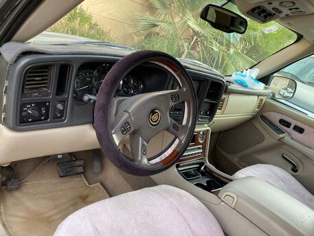 Riyadh, Vehicles, Cars & Trucks , كاديلاك إسكاليد أمريكي,  8004,  Automatic,  876282 KM,