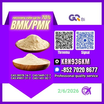 Tirana, Books, ALL 123,  BMK/PMK Extraction Rate Up To 70%- CAS:5449-12-7//CAS:28578-16-7