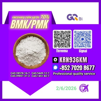 Tirana, Books, ALL 123,  CAS:5449-12-7 BMK/PMK Extraction Rate Up To 70%-CAS:28578-16-7