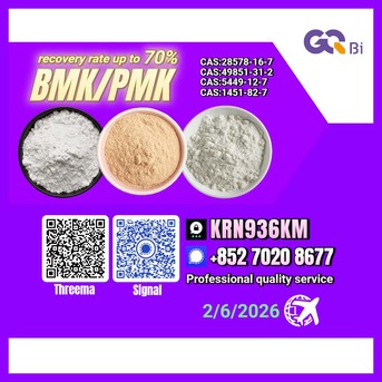 Tirana, Books, ALL 123,  BMK/PMK Extraction Rate Up To 70%-CAS:1451-82-7//28578-16-7