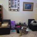 SAR 500,  Scottish Fold Cat For Sale With All The Accessories