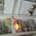 SAR 200,  Urgent Item For Sale At Cheap Price