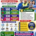 MANPOWER SUPPLY SERVICES &ndash; FAST MOBILIZATION IN SAUDI ARABIA